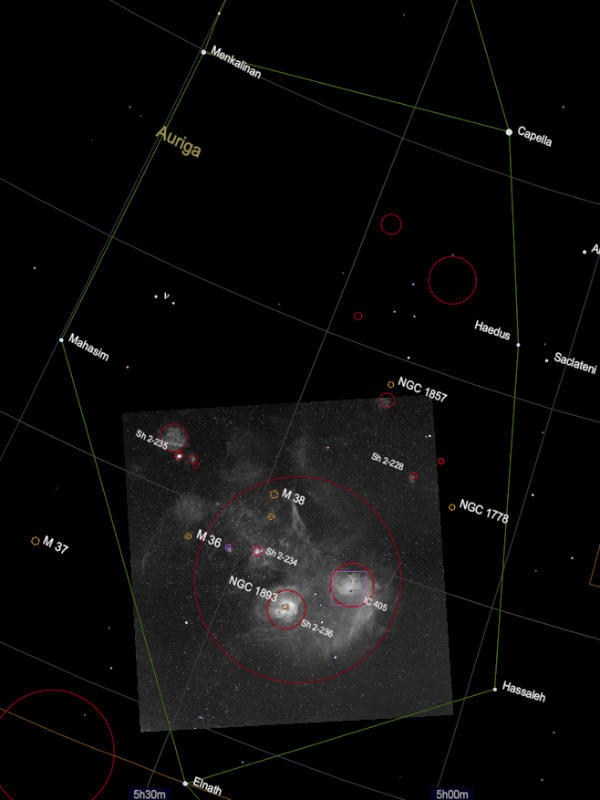 Auriga
