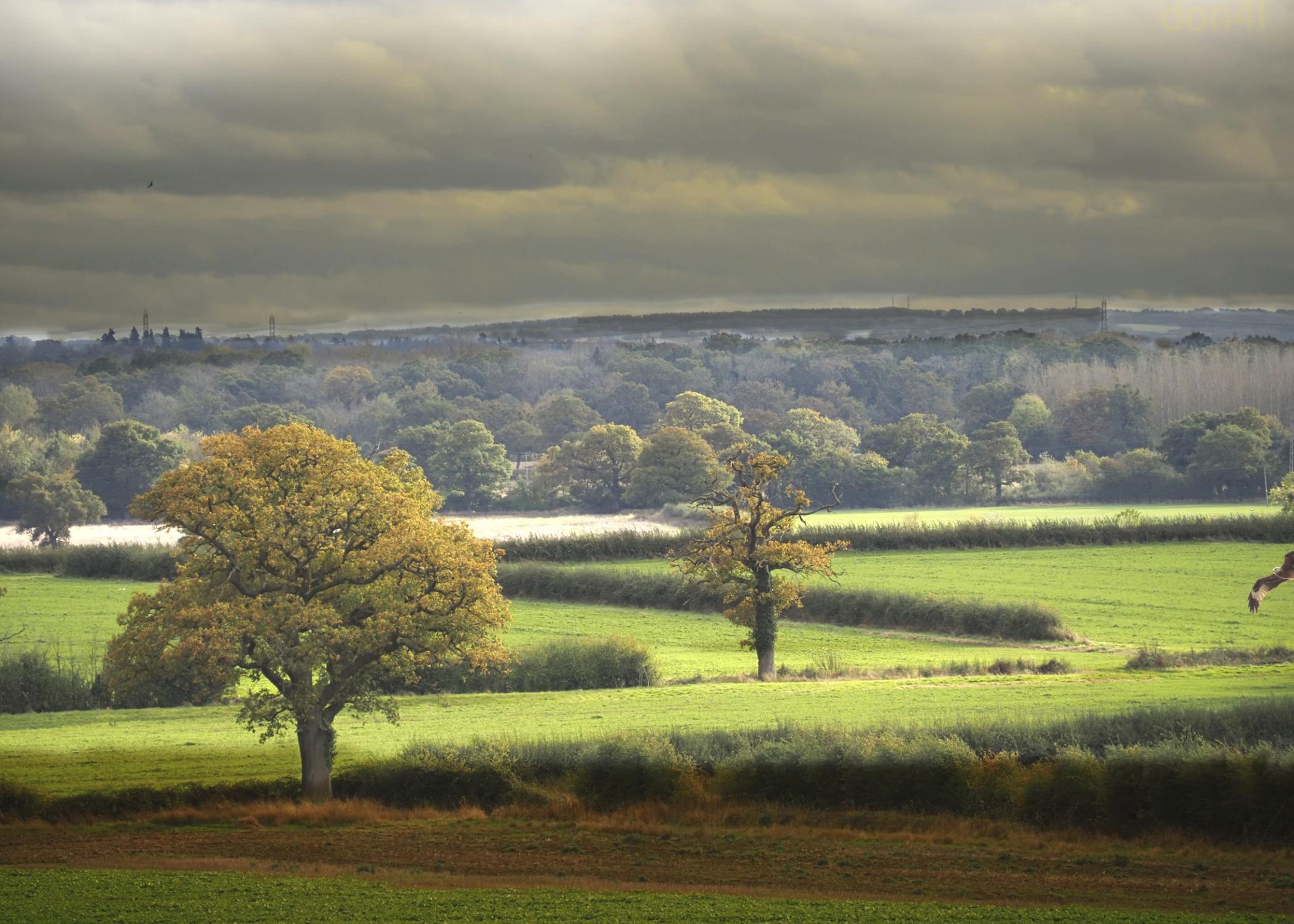 Landscape