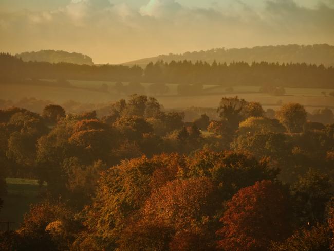 Autumn