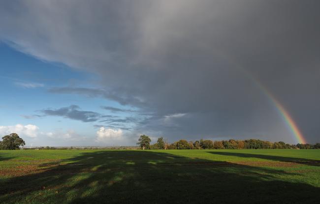 Rainbow