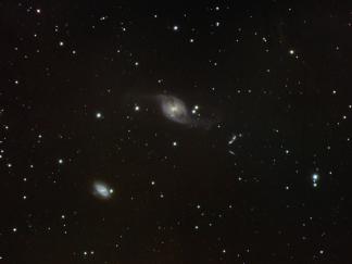 ARP