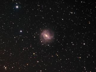 Southern Pinwheel