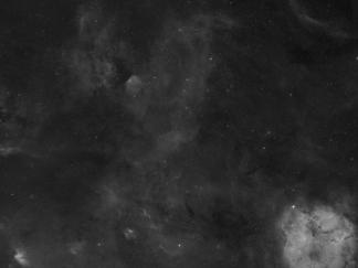 Cepheus
