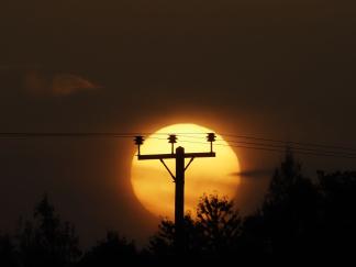 Telegraph Pole