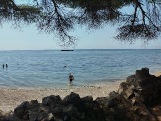 Paradise